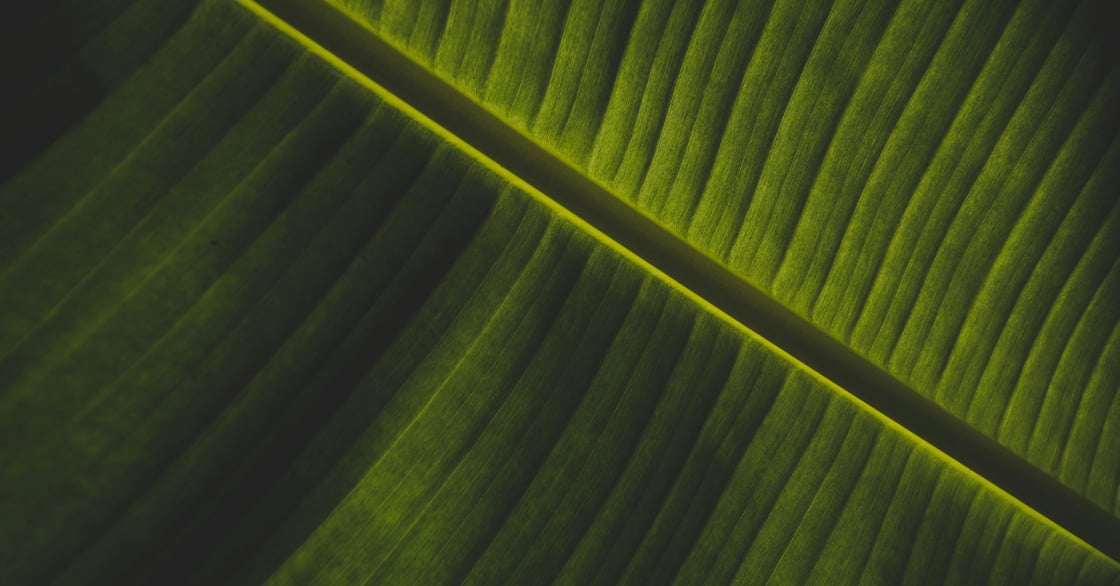 Global Markets on Edge: Biodiversity Debt Risks & US Tariff Caps
