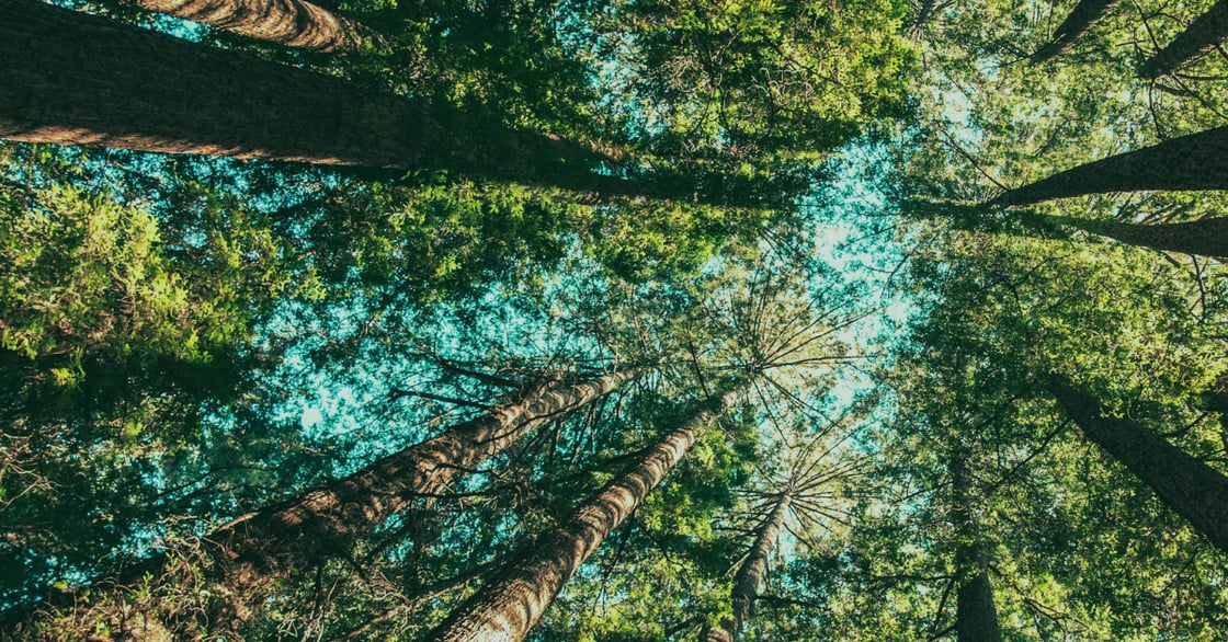 The ESG reset & China’s export surge