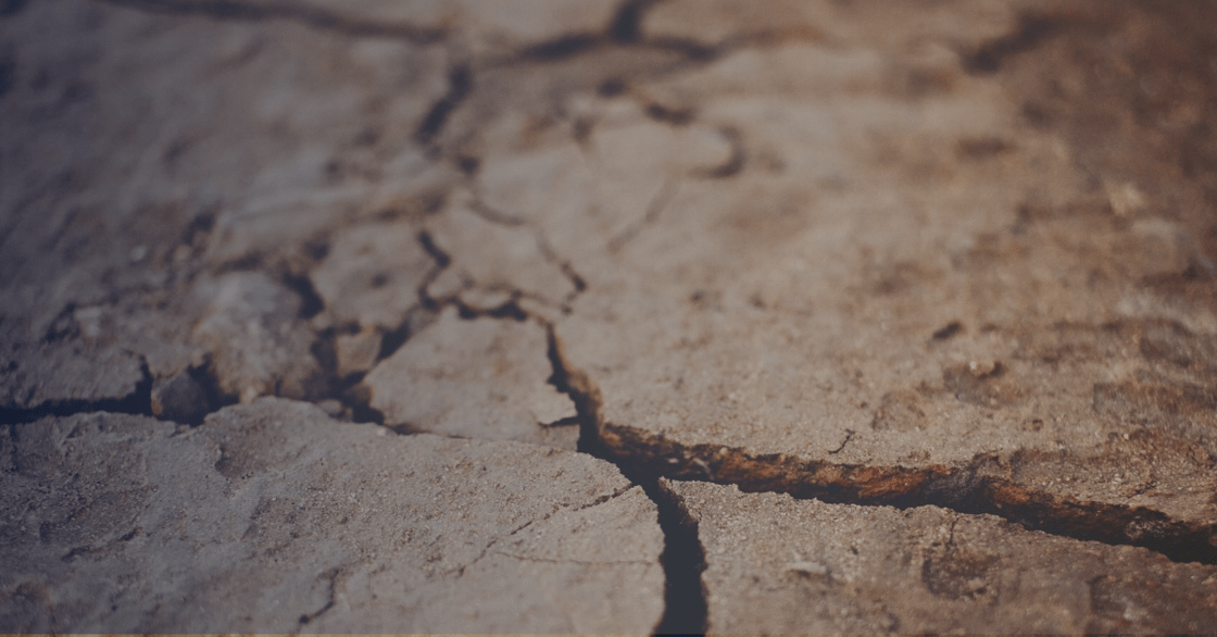EU methane requirements and climate adaptation: two policy updates