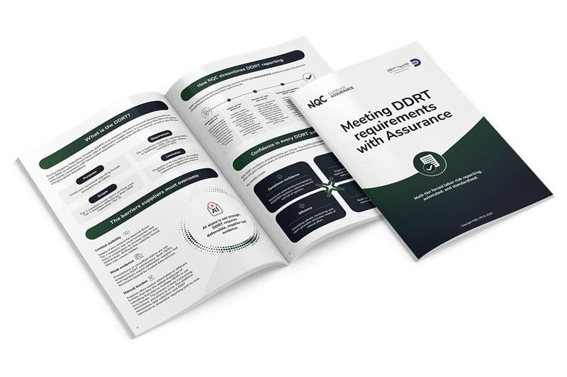 DDRT: Meeting DDRT requirements with Assurance