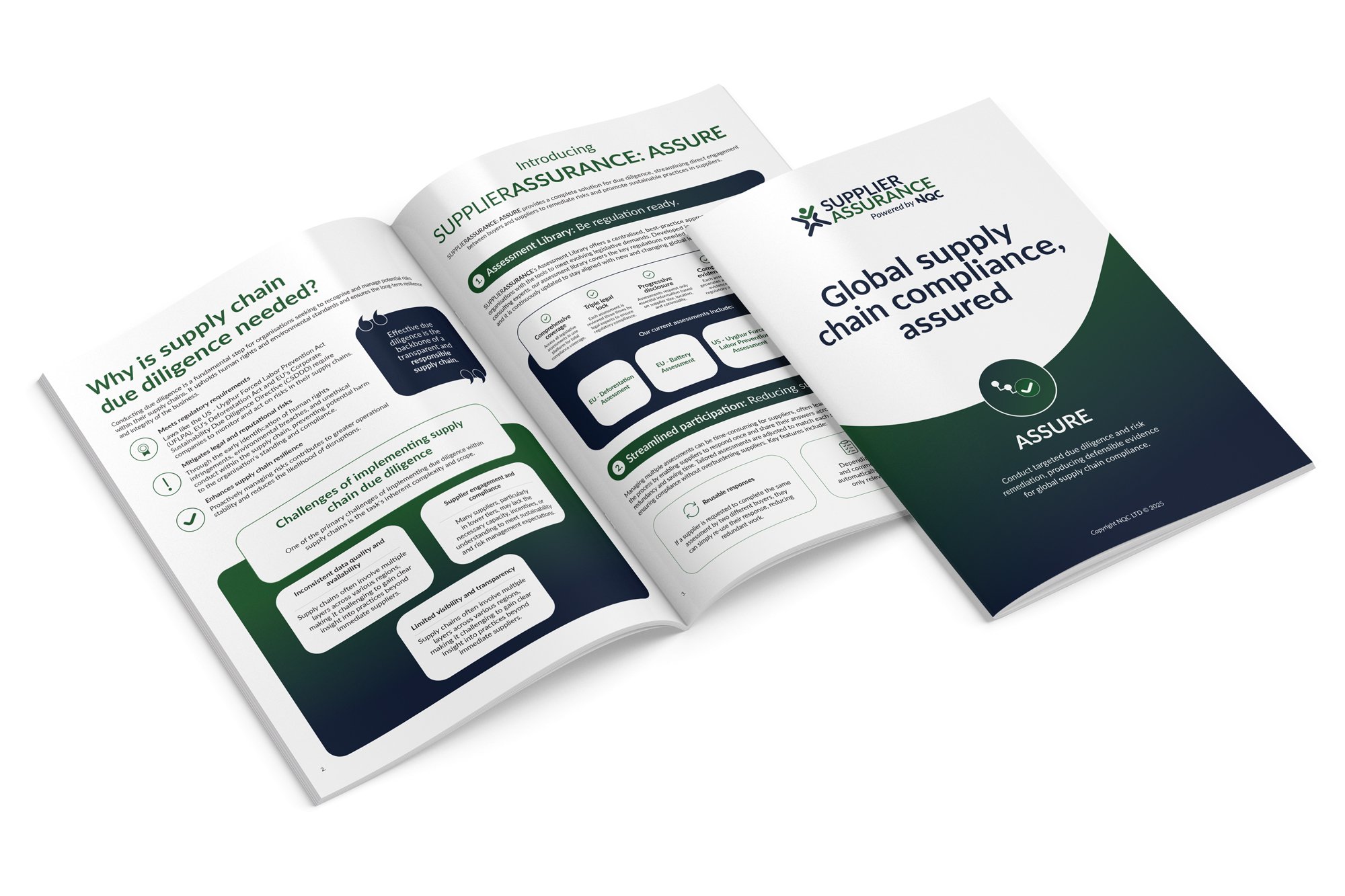 ASSURE-Guide-2025