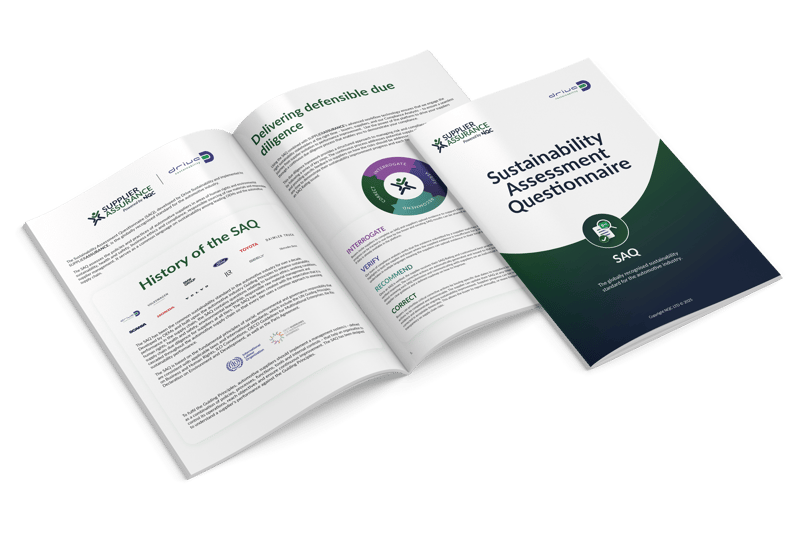 SAQ: Sustainability Assessment Questionnaire
