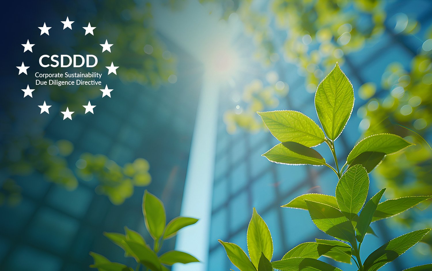 CSDDD-Corporate-Sustainability-Due-Diligence-Directive