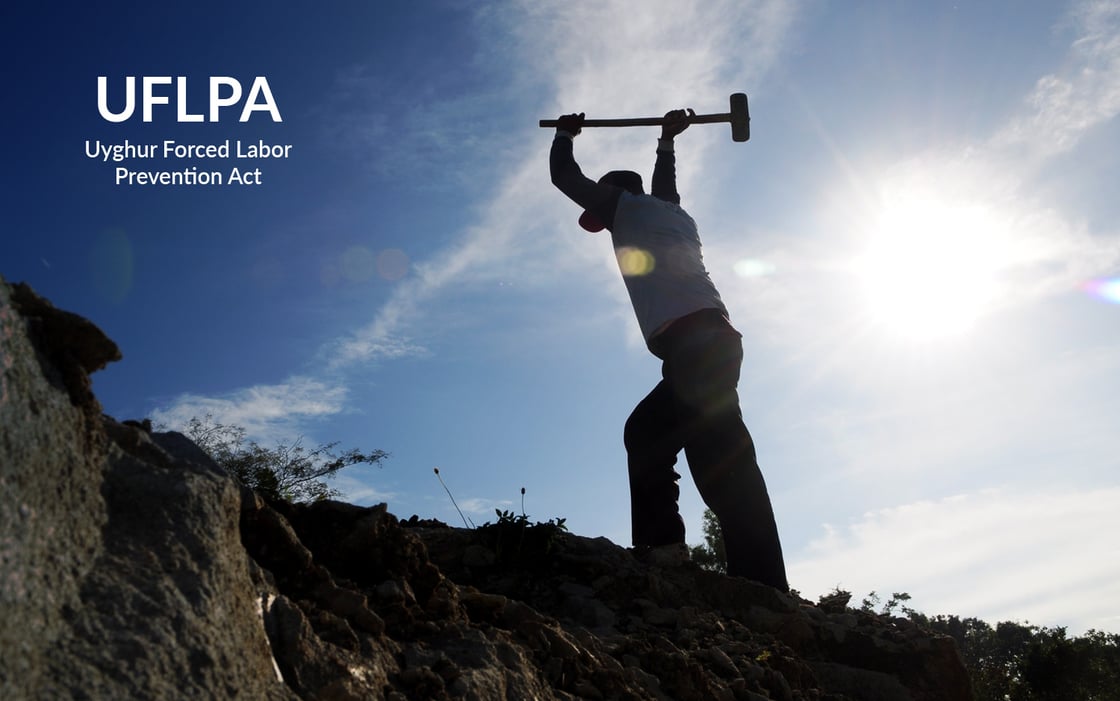 Uyghur Forced Labor Prevention Act (UFLPA)