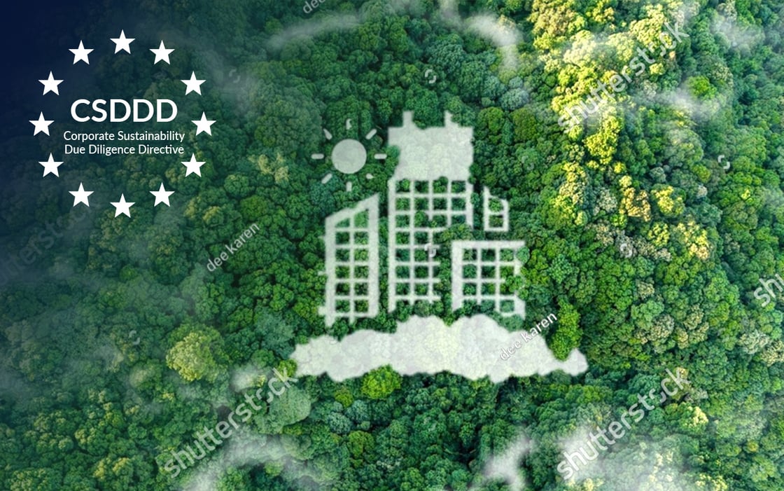 The Corporate Sustainability Due Diligence Directive (CSDDD)